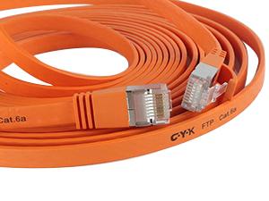 CAT6a FTP Network Cable